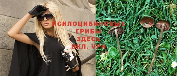 амфетамин Белокуриха