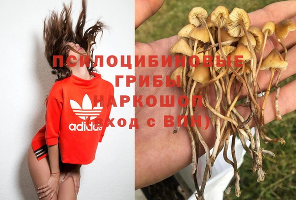амфетамин Белокуриха