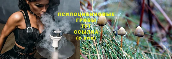 амфетамин Белокуриха
